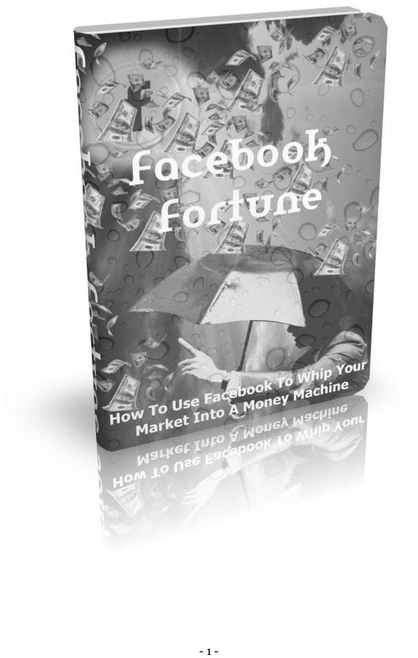 Product picture Facebook Fortune
